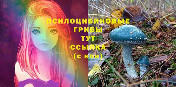 соль курить ск Дмитриев