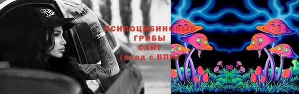 spice Гусиноозёрск