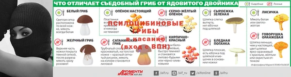 гашик Гусь-Хрустальный
