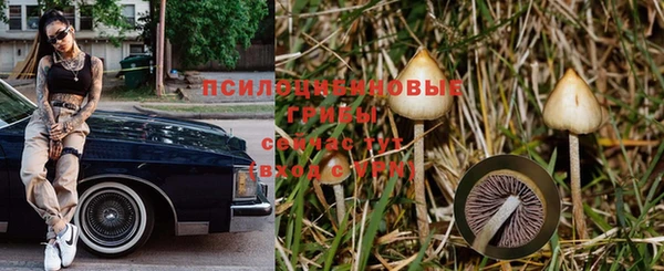 соль курить ск Дмитриев