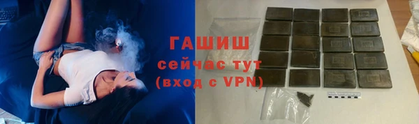 гашик Гусь-Хрустальный