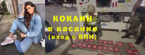 альфа пвп Гусев
