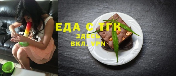 гашик Гусь-Хрустальный