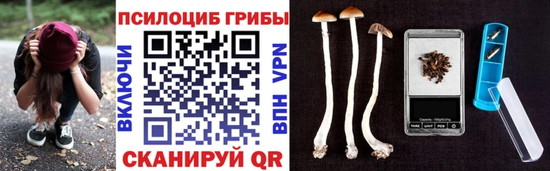 Псилоцибиновые грибы Magic Shrooms Артём