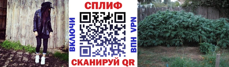 МАРИХУАНА планчик  даркнет сайт  Артём 